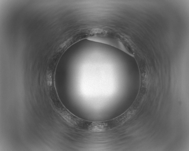 X0000054370368200508051601