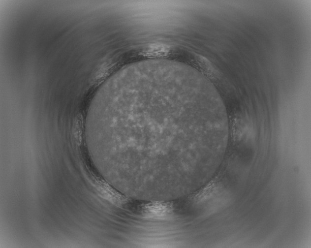 X0000054370370200508051601