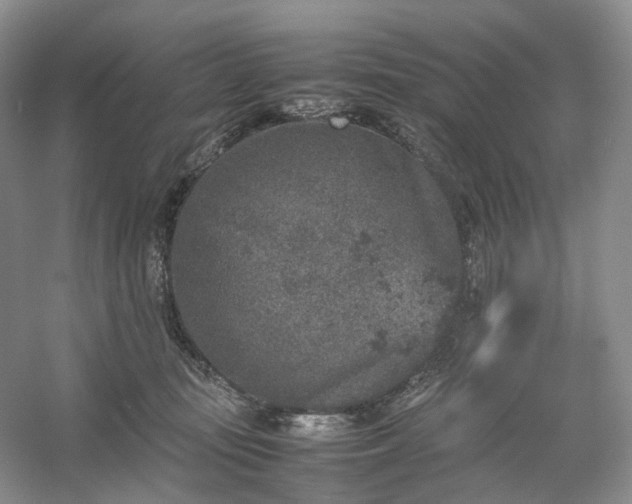 X0000054370371200508051601