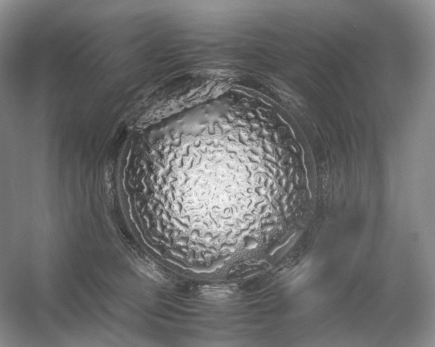 X0000054370373200508051601