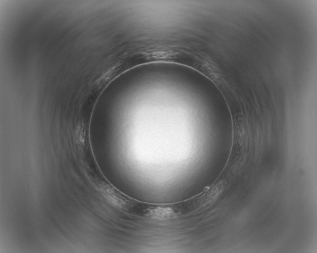 X0000054370374200508051601