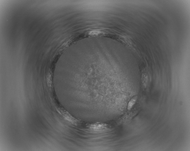 X0000054370375200508051601