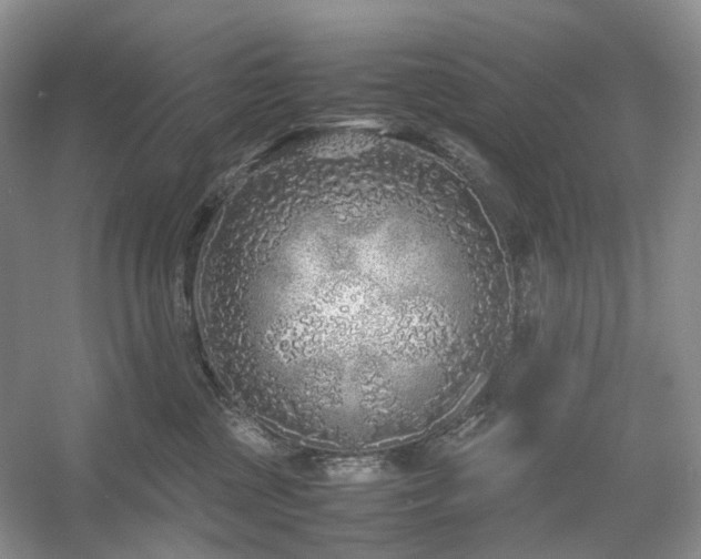 X0000054370377200508051601