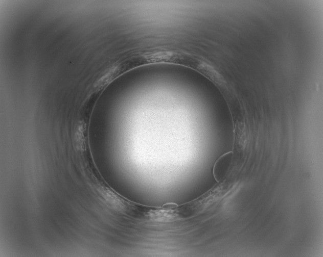 X0000054370378200508051601