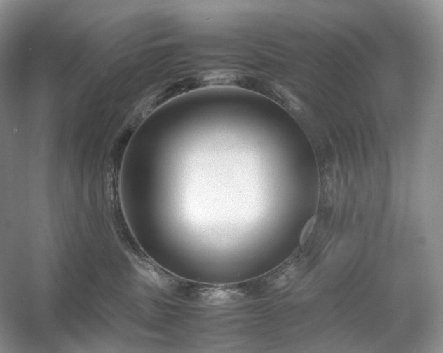 X0000054370379200508051601