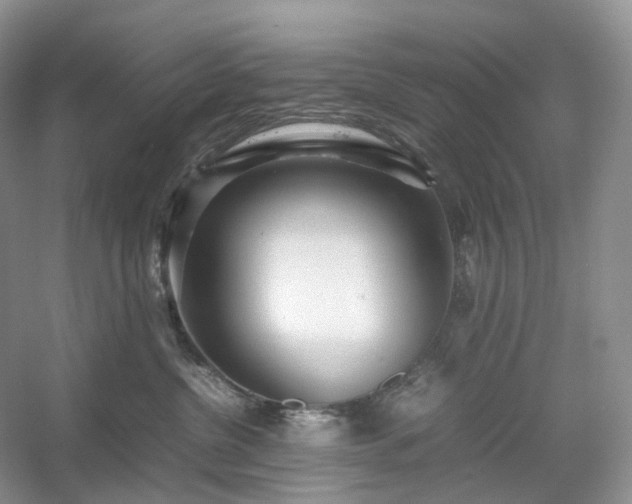 X0000054370380200508051601