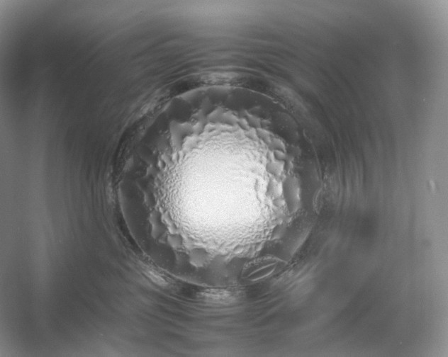 X0000054370381200508051601