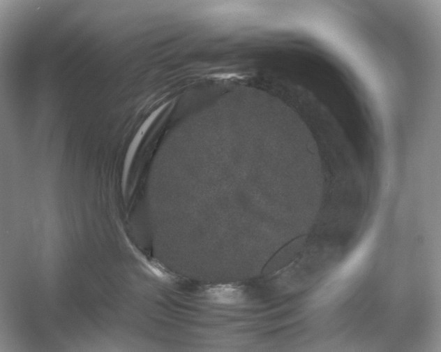 X0000054370383200508051601