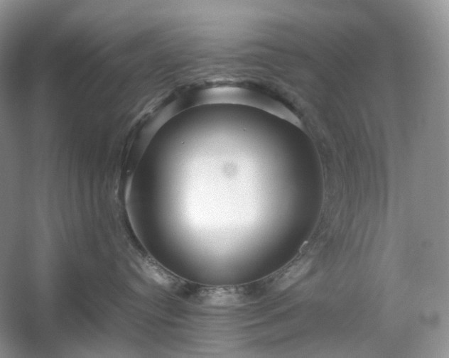 X0000054370384200508051601