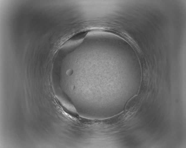 X0000054370385200508051601