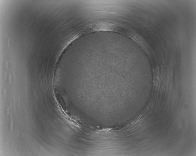 X0000054370386200508051601