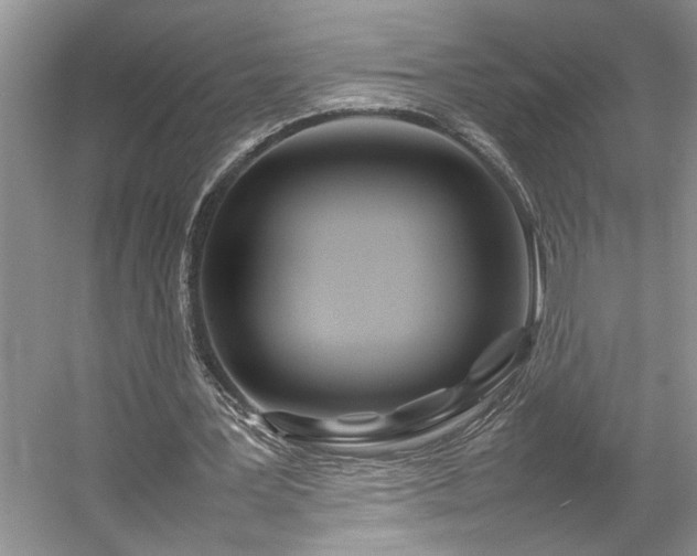 X0000054370387200508051601