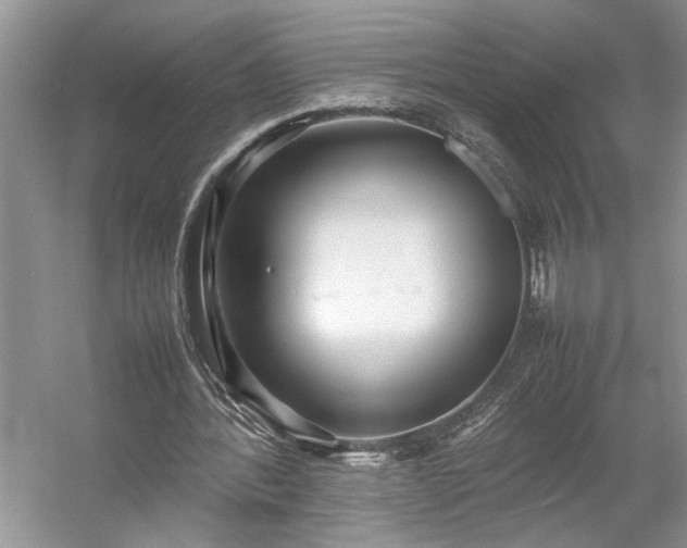 X0000054370388200508051600