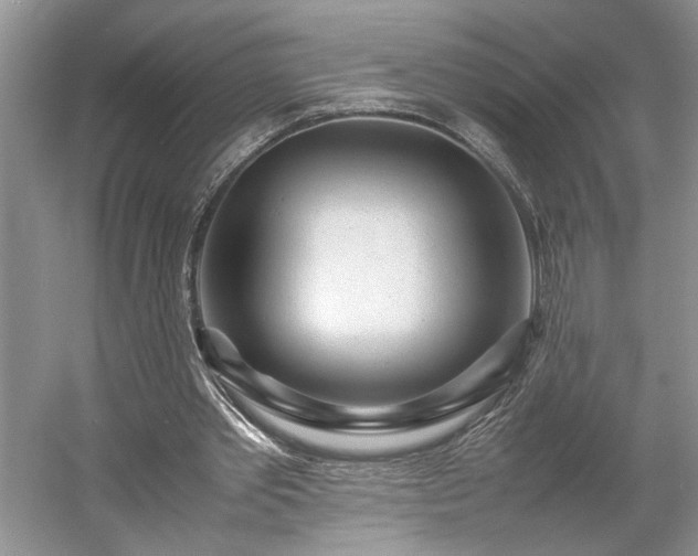 X0000054370389200508051600