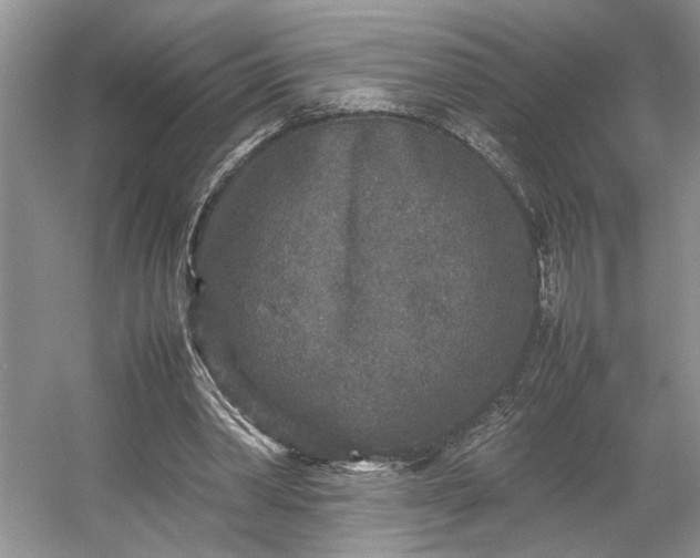 X0000054370390200508051600