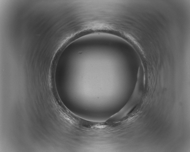 X0000054370391200508051600