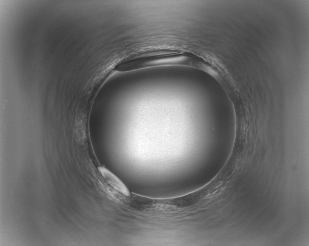 X0000054370393200508051600