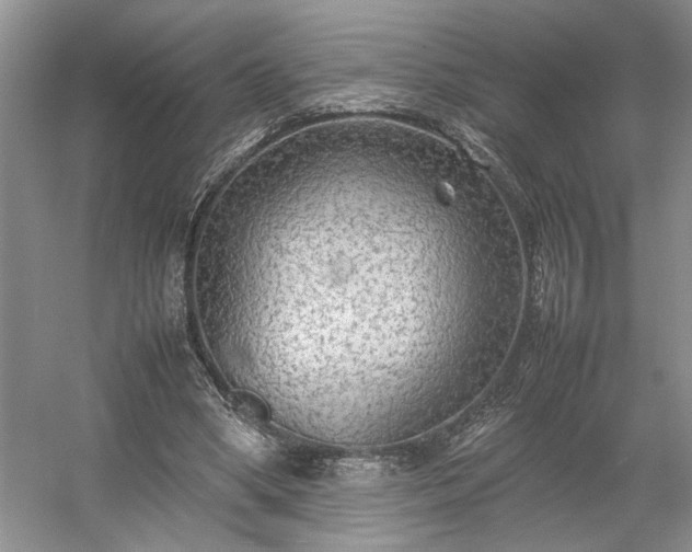 X0000054370394200508051600