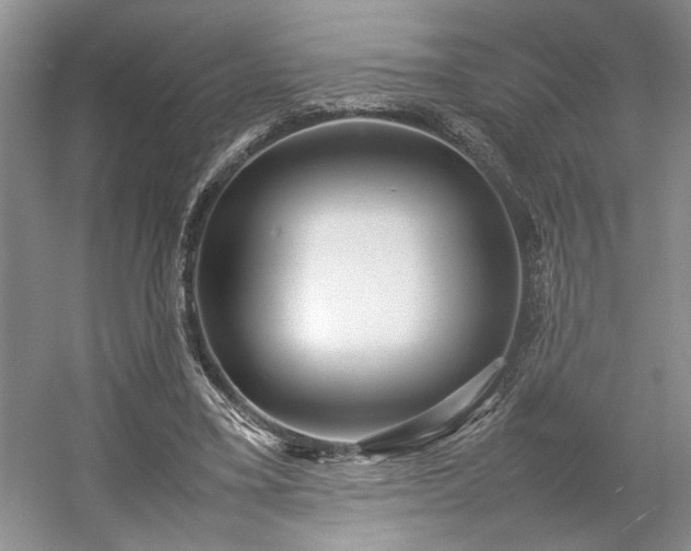 X0000054370395200508051600