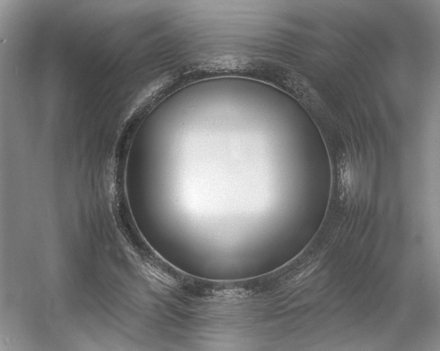 X0000054370396200508051600