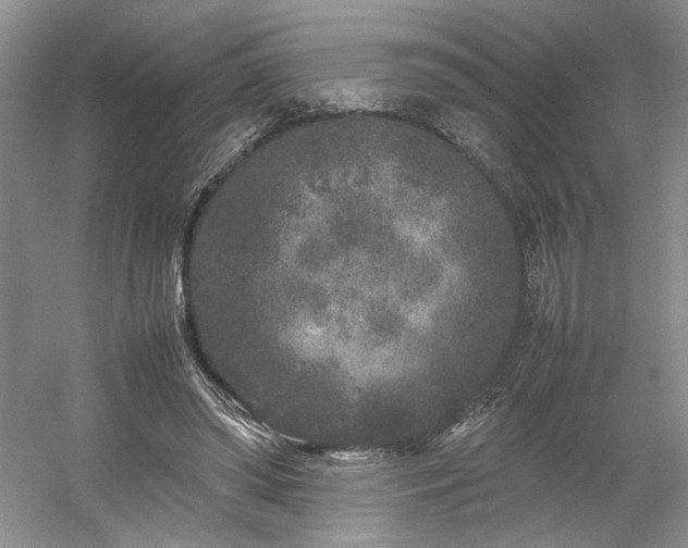 X0000054370398200508051600