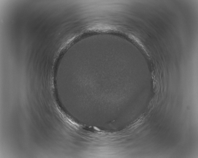 X0000054370399200508051600