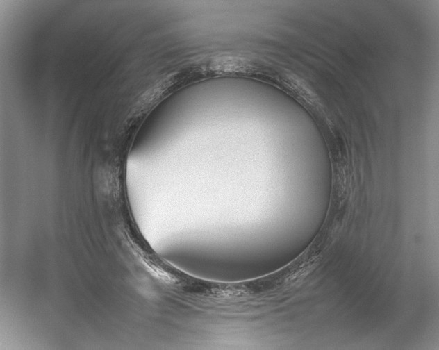 X0000054370401200508051600