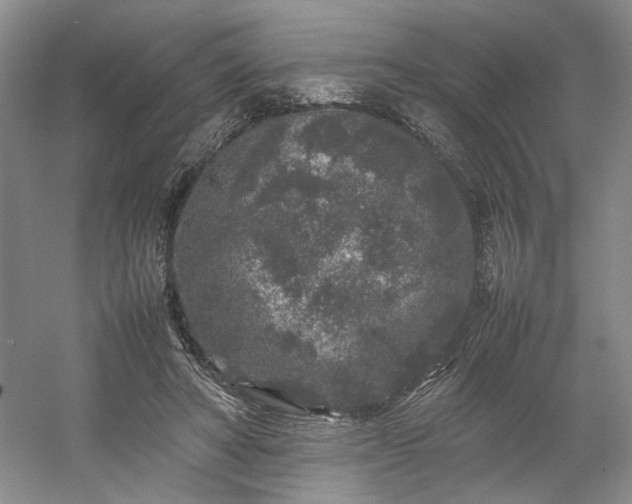 X0000054370402200508051600