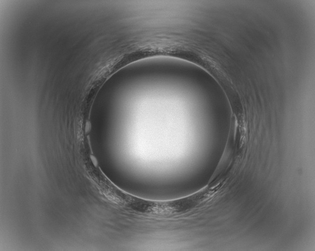 X0000054370403200508051600