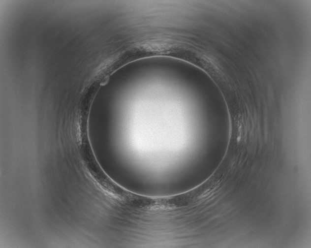 X0000054370404200508051600