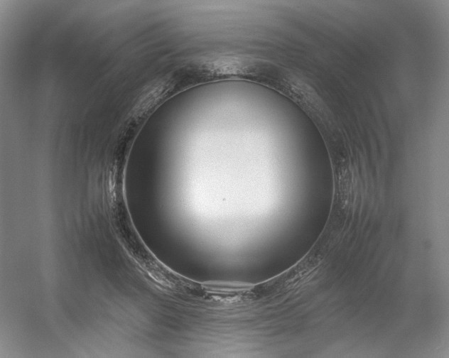 X0000054370406200508051600