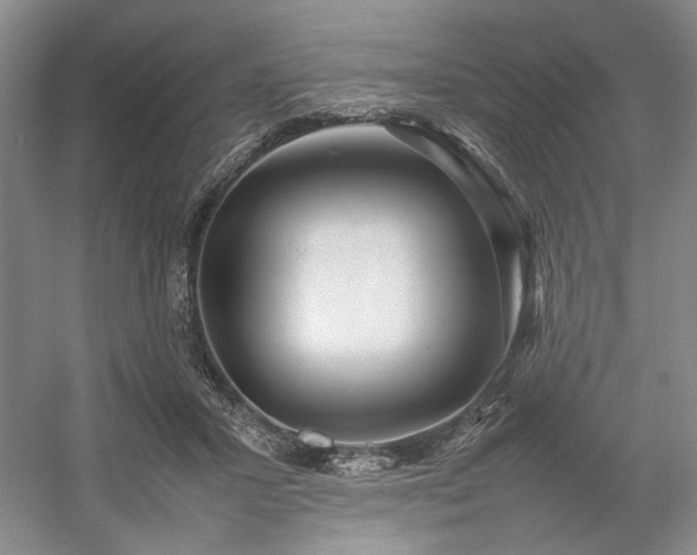 X0000054370407200508051600