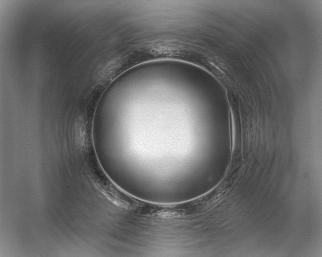 X0000054370408200508051600