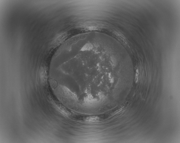 X0000054370410200508051600