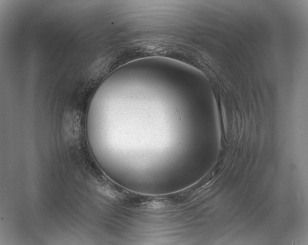 X0000054370412200508051600