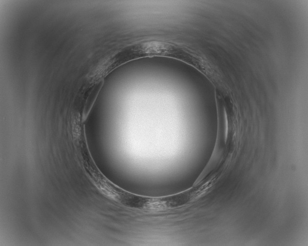 X0000054370413200508051600