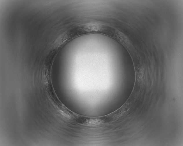 X0000054370414200508051600