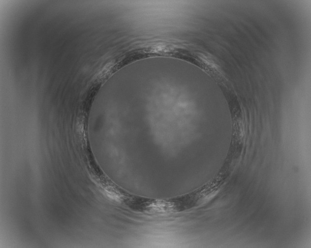 X0000054370415200508051600