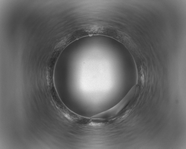 X0000054370416200508051600