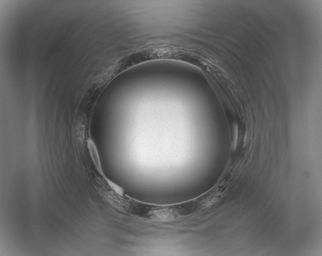 X0000054370417200508051600