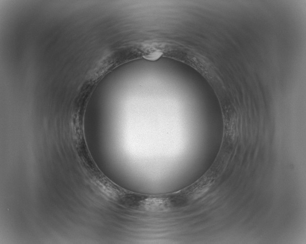 X0000054370418200508051600