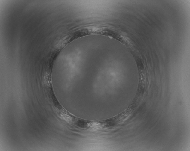 X0000054370419200508051600