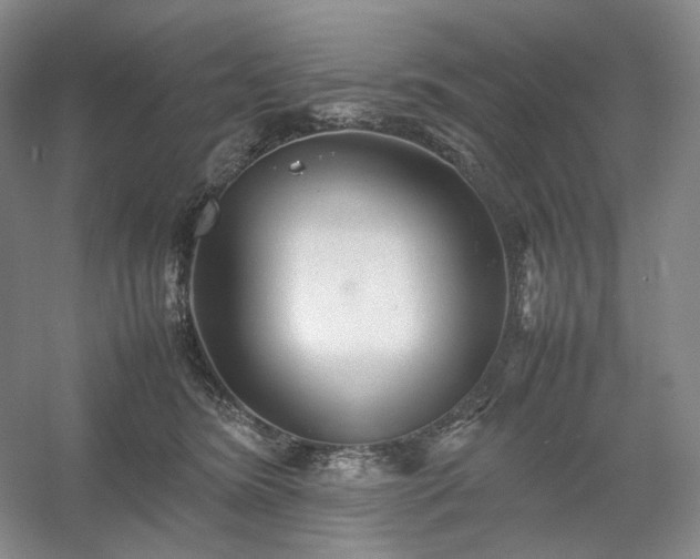 X0000054370420200508051600