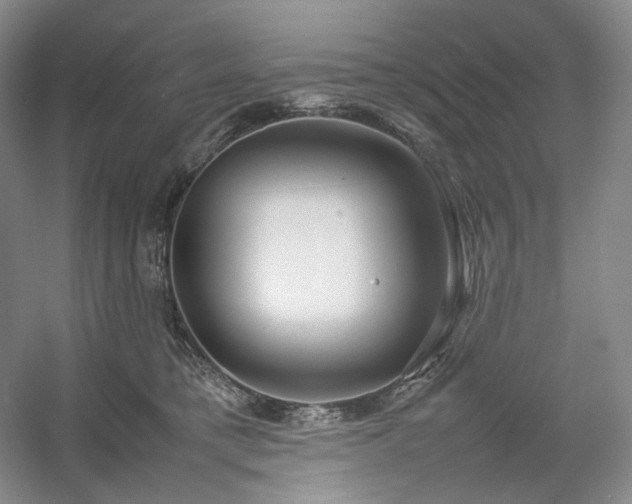 X0000054370421200508051600