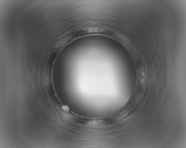 X0000054370422200508051600