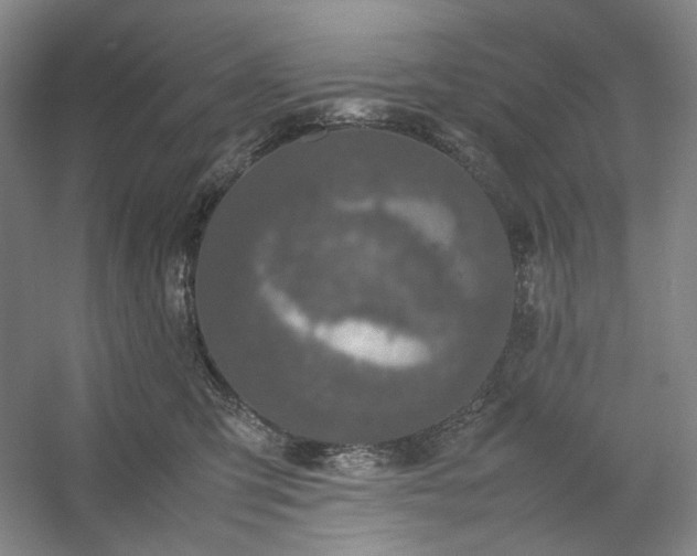 X0000054370423200508051600