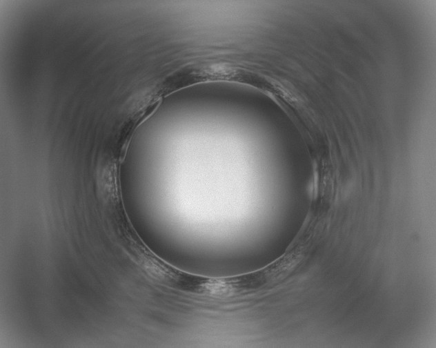 X0000054370425200508051600