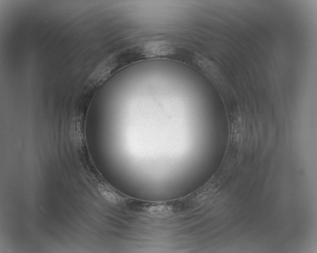 X0000054370426200508051600