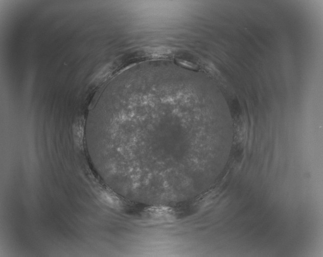 X0000054370427200508051600