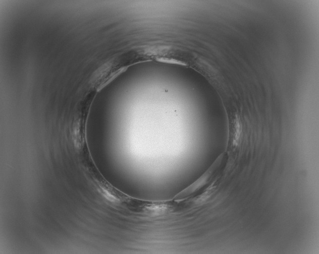 X0000054370428200508051600